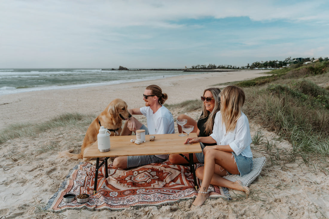 Meet Thrivvy: The Dog Travel Bottle Changing Pet Adventures