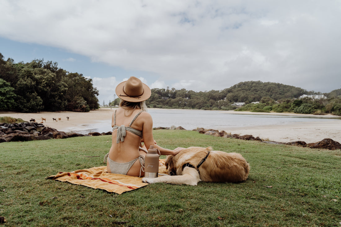 The 5 Domains of Animal Welfare: Better Understanding Your Dog