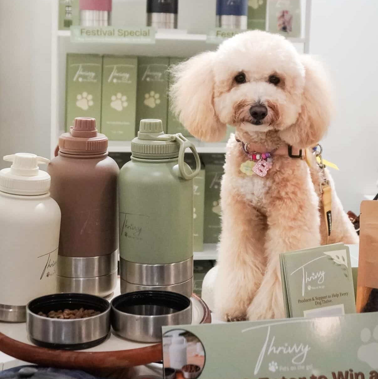 Thrivvy Birthday Adventure Bundle – Portable Water Bottle & Cap