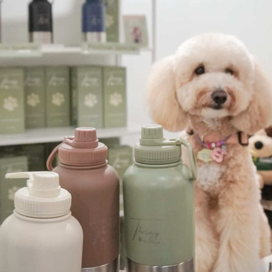 Thrivvy “Pets on the Go” Gift Card , The Perfect Gift for Every Pet Lover